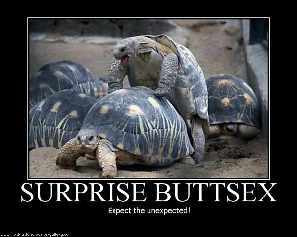 Surprise Buttsex