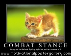 Combat Stance Motivational Poster