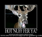 Hot 'Nuff Few Ya? Motivational Poster