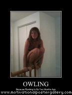 Owling Motivational Poster