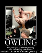 Owling Motivational Poster