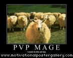 PVP Mage Motivational Poster