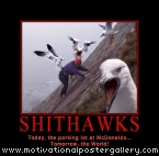 Shithawks Motivational Poster