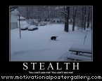 Stealth Motivational Poster