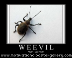 Weevil Motivational Poster